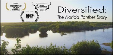 Diversified: The Florida Panther Story title screen