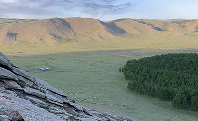 A landscape showing the team's campground and a field of livestock