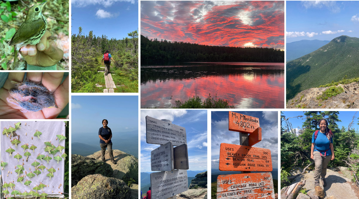 A collage of images from Gabby Dennis's summer in New Hampshire. 