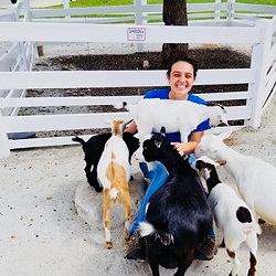 Goats during a shift volunteering at Columbian park zoo fall 2017.