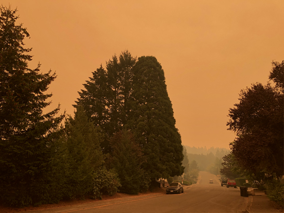 Greenler Corvallis Smoke