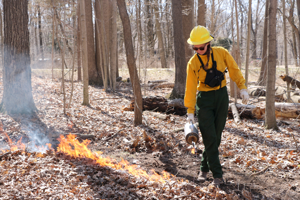 Sky Greenler spraying for controlled fire burn, MS research.