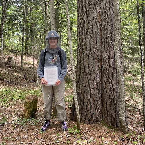 FNR Outstanding Senior Leah Griffin holds a chainsaw; Griffin holds a clipboard as a TA at Summer Practicum; Griffin hangs upside down while participating in a tree climbing demonstration