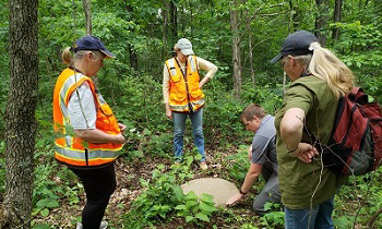 Group in forest