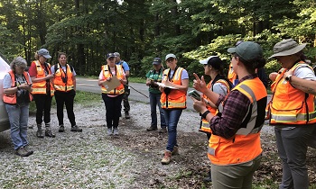 group-lined-up-in-forest