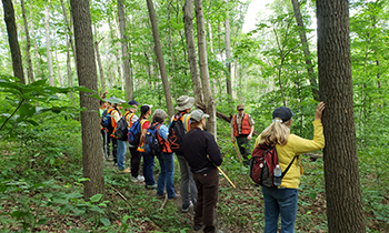 group-lined-up-in-forest