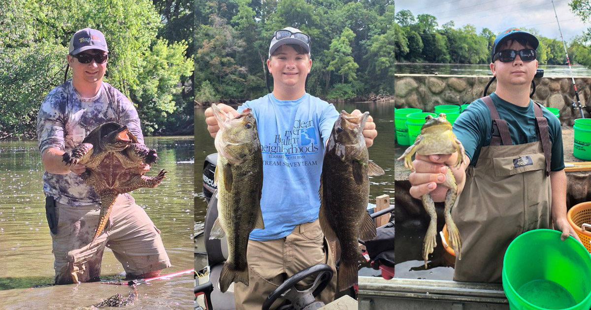 Noah Haas holds a large snapping turtle; Noah holds a largemouth and smallmouth bass; Noah Haas holds a large bullfrog