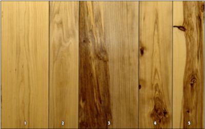 Hackberry wood panels
