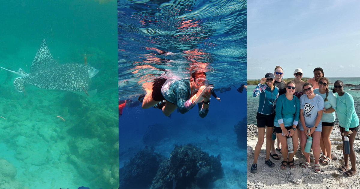 A spotted eagle ray; Morgan Hamilton snorkeling during a biodiversity survey in Turks and Caicos; Hamilton with a group of students from her study abroad cohort.