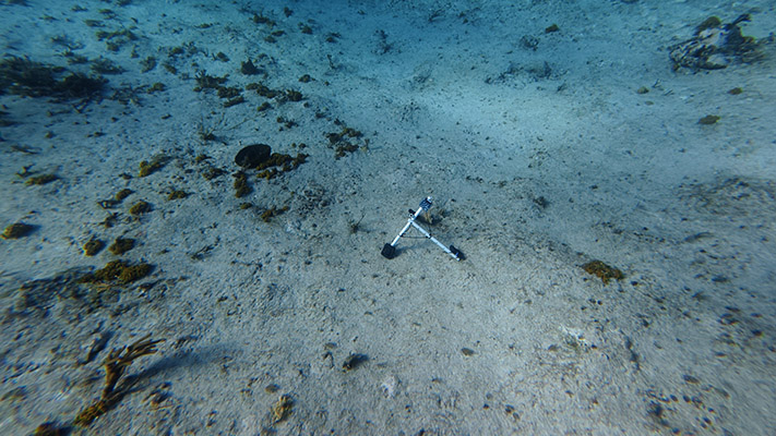 An acoustics Hydromoth on the ocean floor