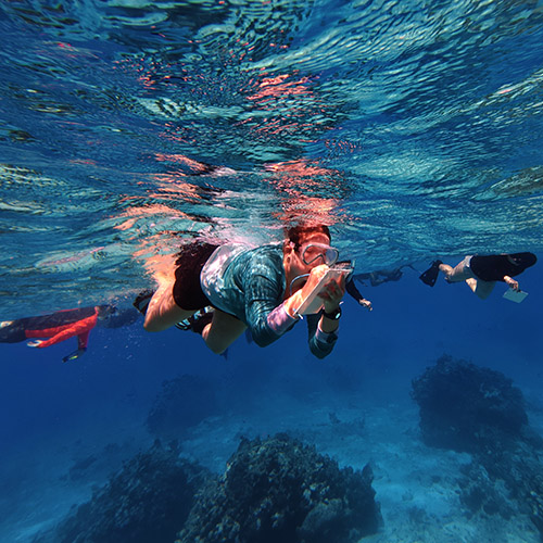 A spotted eagle ray; Morgan Hamilton snorkeling during a biodiversity survey in Turks and Caicos; Hamilton with a group of students from her study abroad cohort.