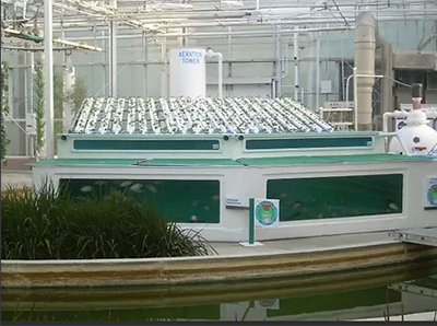 Aquaculture Lab at Disney