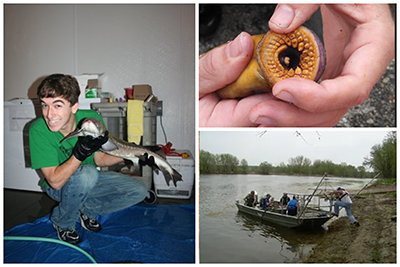 Austin Happel at Purdue holding a lake sturgeon; a sea lamprey and Happel with fellow researchers on a boat