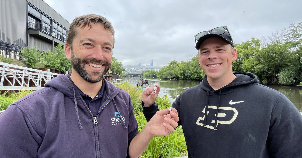 Shedd Aquarium research biologist Austin Happel with Purdue master's student Luke McGill holding acoustic sensors for a fish tracking project