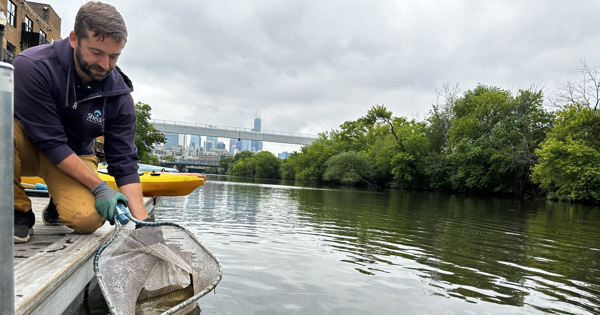 Alumnus Austin Happel Turns Curiosity about Fish, Pet Store Job into