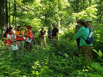 Teachers explore Hardwood Ecosystem Experiment research areas as part of the Natural Resources Teacher Institute.