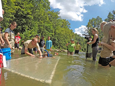 An adult hellbender is released into the Blue River in Summer 2022