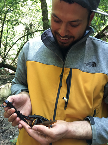 Hernandez-Gomez holding several salamanders