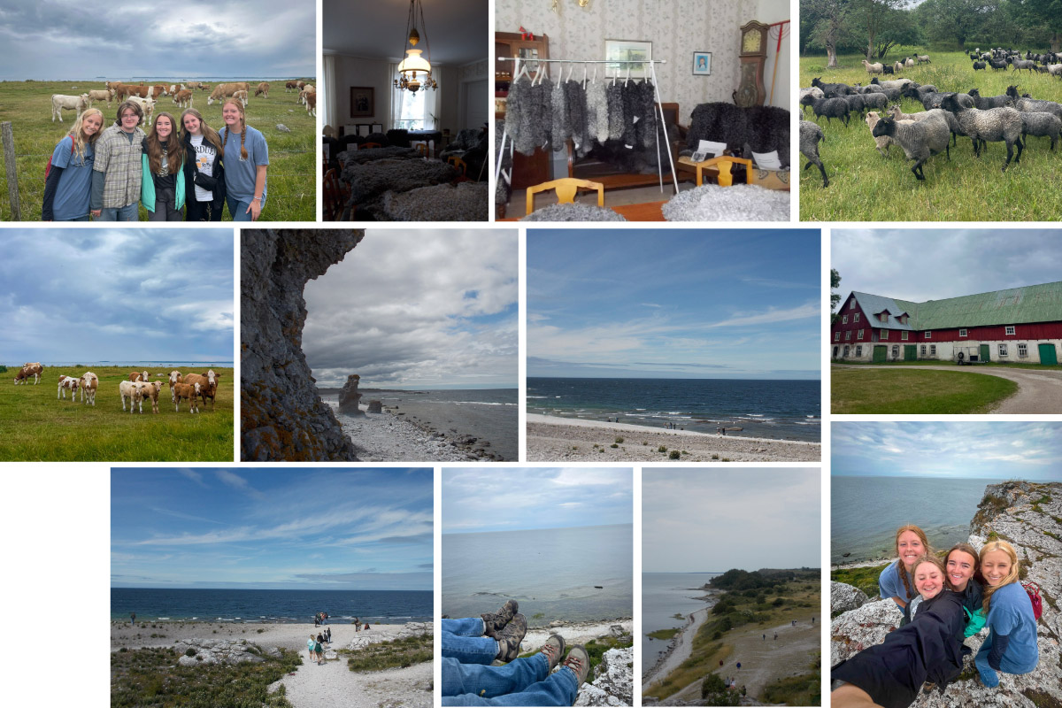 A collage of photos from Bella Hilaski's visits to Alskog farm, Gålrum’s Graves, and coastal rauks in Sweden