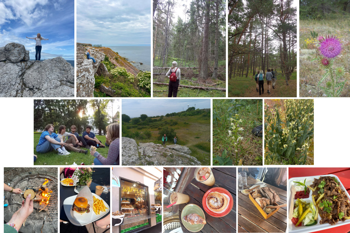 A collage of photos from Bella Hilaski's study abroad trip to Sweden and Finland, including food, flowers and friends.