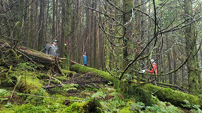 Hongo's crew at the final plot on Mount Guyot