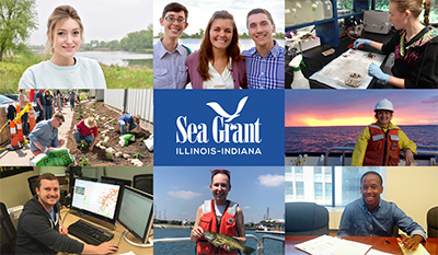 A collage of Illinois-Indiana Sea Grant interns