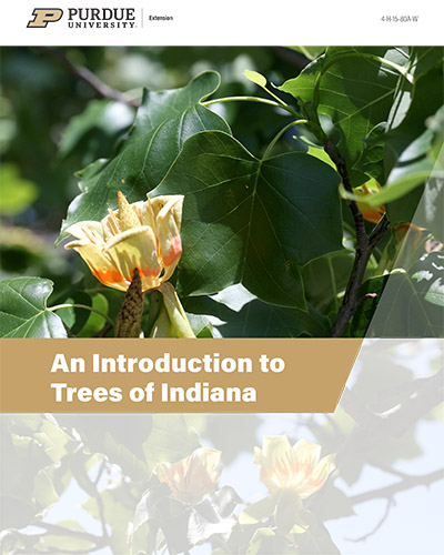 The cover of the Introduction to Trees of Indiana publication