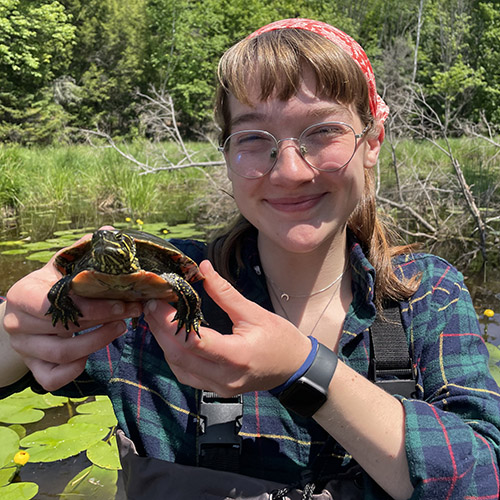 Alyssa Johnson holds a turtle; Alyssa Johnsons shows off a small salamander; Alyssa Johnson gives a thumbs up during a field study, wearing goggles, a mask and rubber gloves.