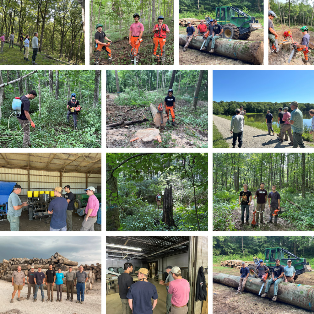 A collage of images of forestry intern Isaac Johnson. Top row (Left to Right): Johnson and his fellow interns look out on the Milnes property in Brown County; Johnson and his fellow interns Liam Phillips and Collin Morris; Phillips, Morris and Johnson sit on a log with FNR forester Don Carlson; Phillips and Johnson stand next to a stump with Carlson. Row 2: Johnson sprays for invasives while Phillips uses a brush cutter at the Southern Indiana Purdue Ag Center; Johnson stands next to a tree he felled; the forestry interns and staff walk a property in Brown County. Row 3: The forestry interns talk to a professional at Vallonia State Nursery; Johnson sprays herbicide at SIPAC; the forestry interns stop for a group photo. Row 4: The forestry interns alongside Mikaela Scherzinger, Don Carlson and Dr. Mike Saunders at the Werner Sawmill; the forestry interns at Vallonia State Nursery; the interns pose with Don Carlson and a skidsteer. 