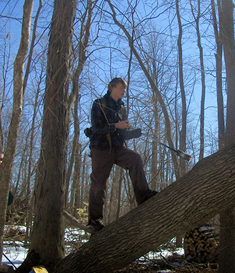 Ken Kellner climbing a tree