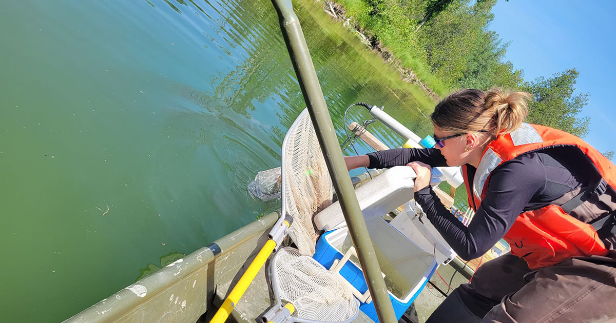 Rachel Kraus on a boat electrofishing