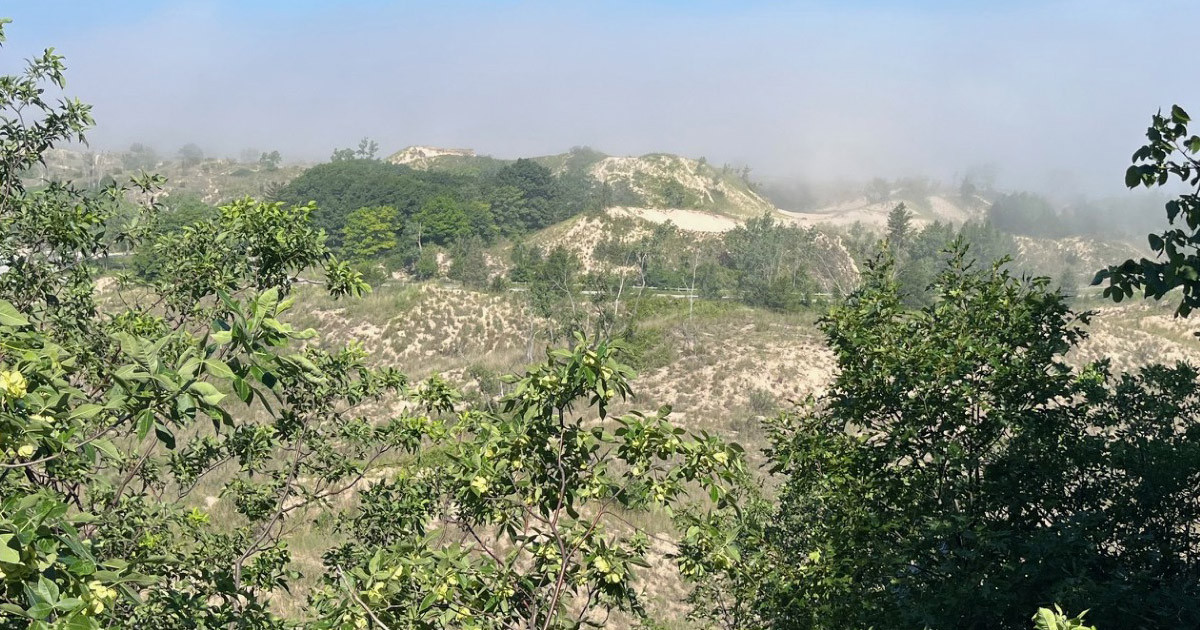 A panoramic view of Succession Trail at Indiana Dunes National Park