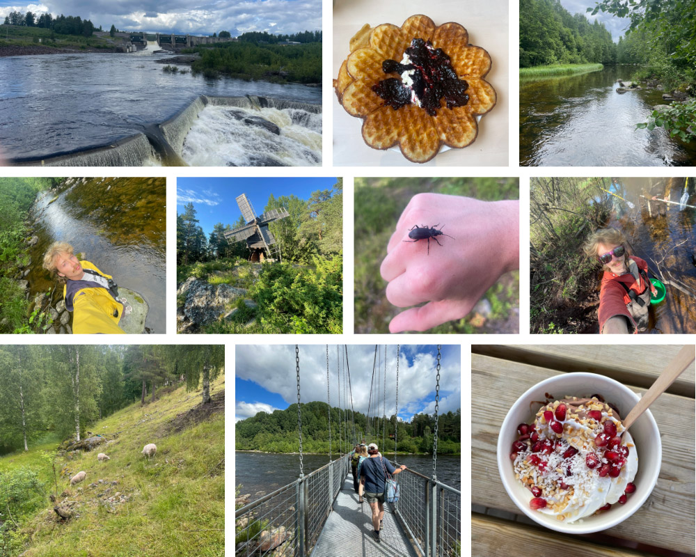 A collage of photos taken by Sam Lillie during the Sweden/Norway study abroad trip.