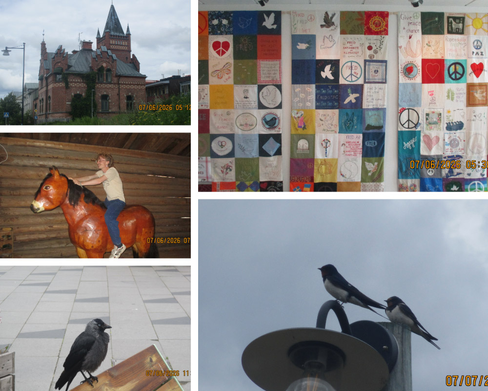 A collage of images from Sweden, taken by Sam Lillie. 