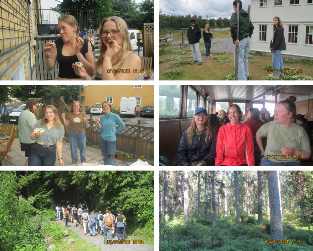 A collage of images from the Sweden-Norway study abroad trip, taken by Sam Lillie.