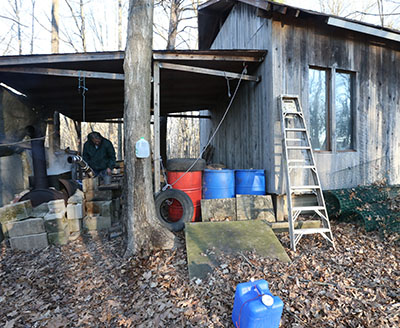 A maple syrup producer processes the sap