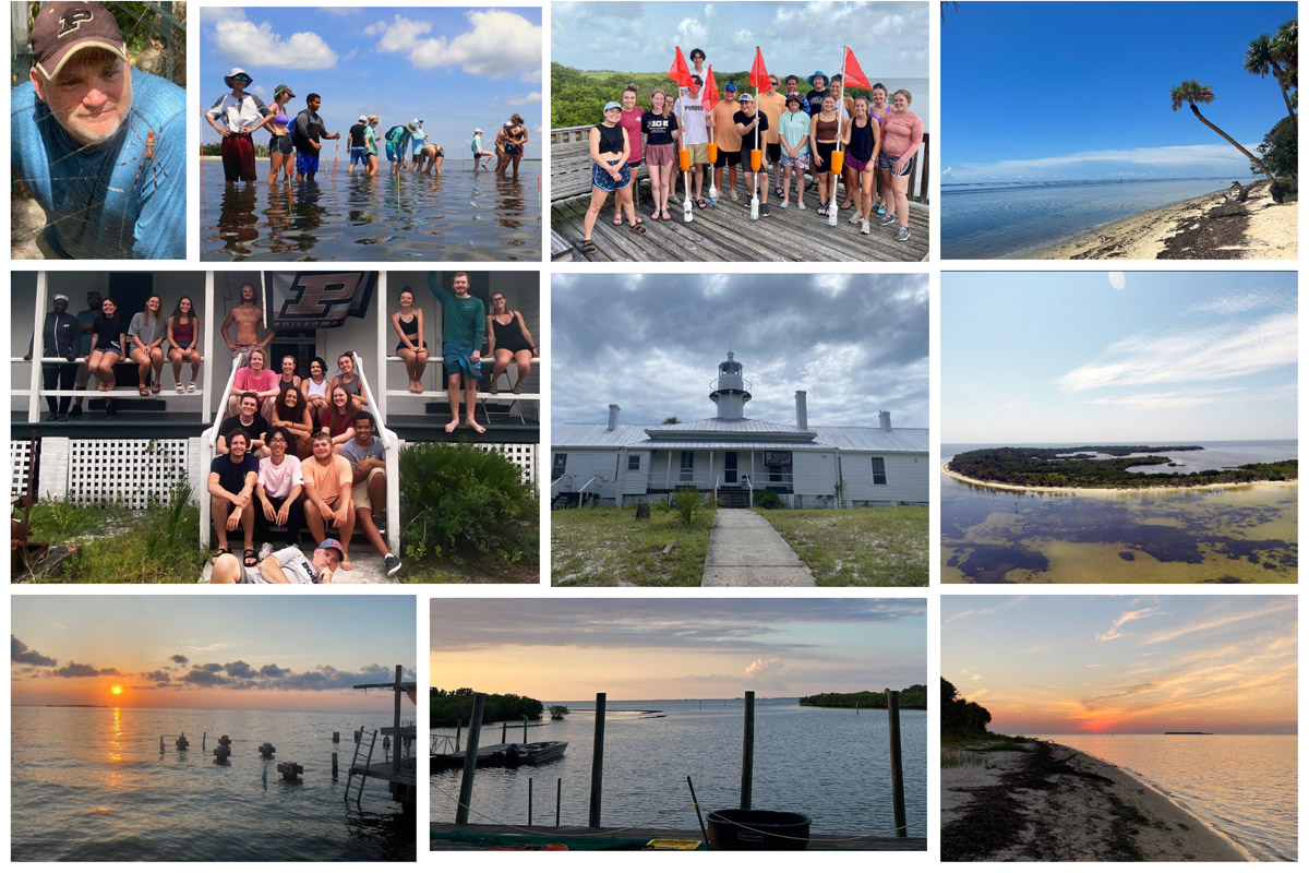 A collage of views from Marine Biology Practicum in Seahorse Key, Florida