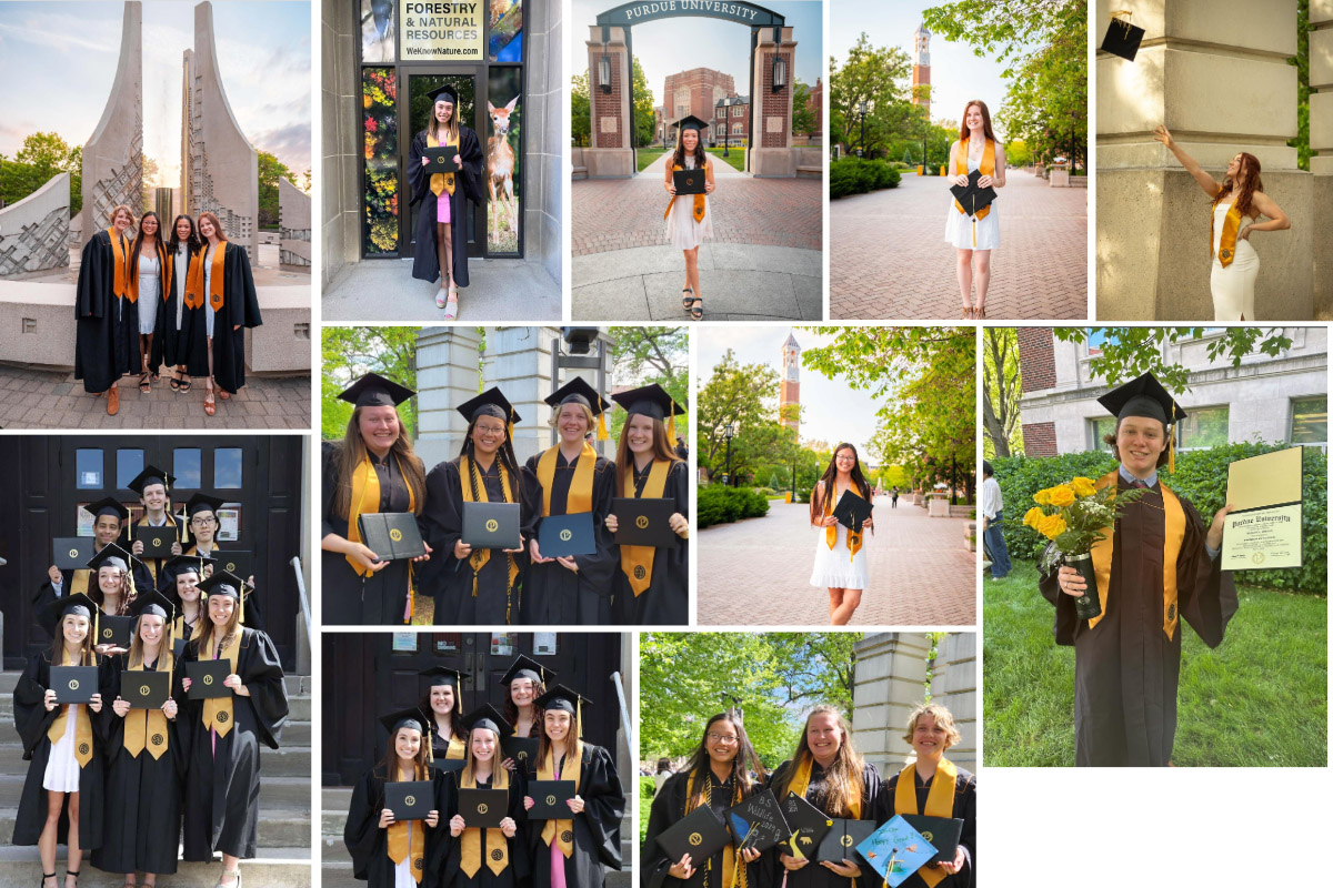 A collage of images of FNR May 2024 graduates. Top row (left to right): Alexis Proudman, Anne Talbot, Sophia Flores and Ruby Sanders at the engineering fountain (photo by Trevor Mahlmann); Kaitlyn Sinclair at the door to the Forestry Building; Sophia Flores stands with her diploma at the union arch that reads Purdue University; Ruby Sanders holds her cap at the Bell Tower; Katie Arnold throws her cap under the Bell Tower. Row 2: Alex Dudley, Anne Talbot, Alexis Proudman and Ruby Sanders in cap and gown holding their diplomas at the Bell Tower; Anne Talbot holds her cap near the Bell Tower. Keegan Abeson holds a vase of flowers and his diploma. Row 3: Aquatic sciences majors Ian Fleming, Isaac Jones, Yang Liu, Emma Engel, Emily Ragsdale, Megan Merryman, Colleen O’Toole, Kaitlyn Sinclair; Aquatic sciences majors Emily Ragsdale, Emma Engel, Megan Merryman, Colleen O’Toole, Kaitlyn Sinclair hold their diplomas; Anne Talbot, Alex Dudley and Alexis Proudman hold their decorated caps at the Bell Tower. 