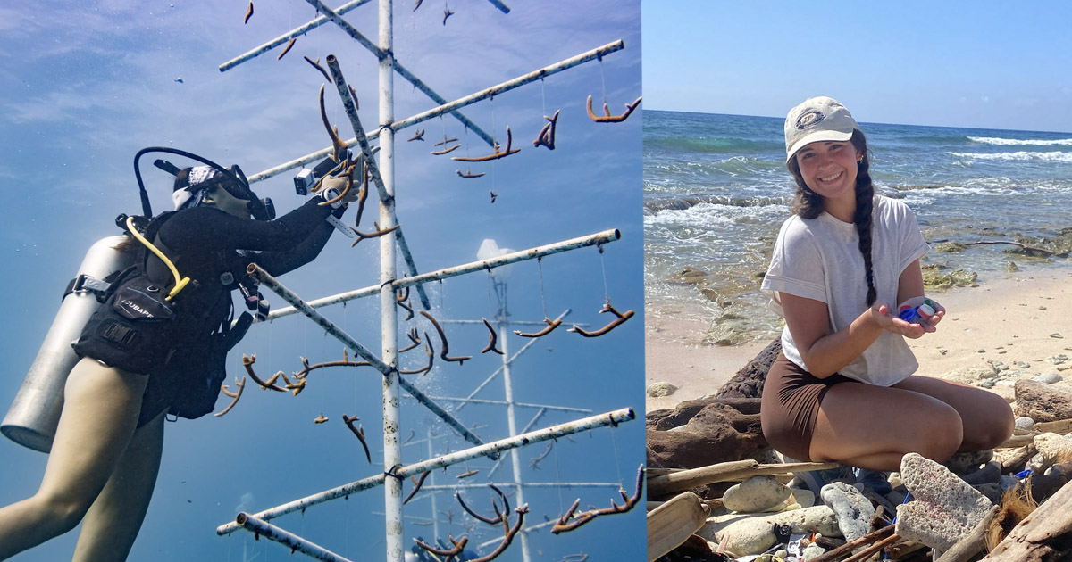 Ashlynn McLaughlin cleans a coral nursery tree; McLaughlin picking up trash on the beach on World Ocean's Day. 