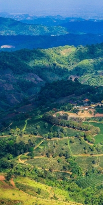 Aerial view of a mountain side