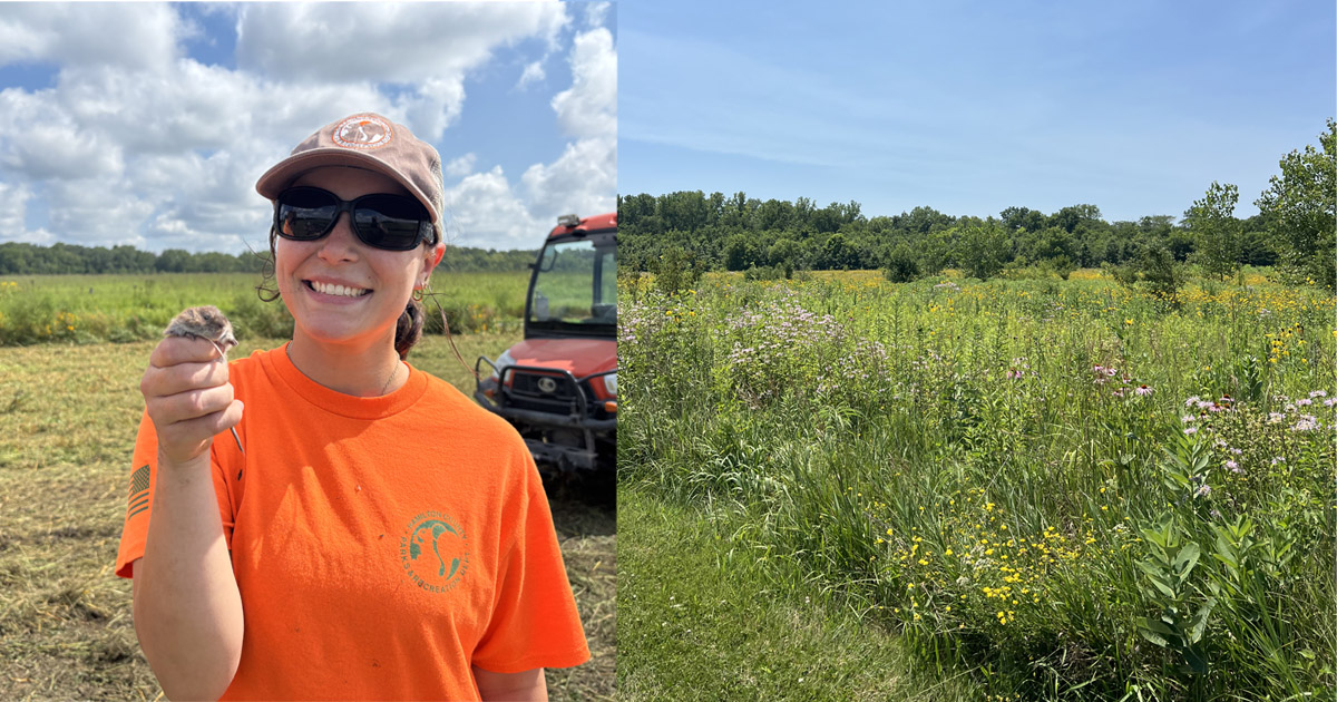 Madi Medley holds a field mouse she found during a break from bush hogging the prairie