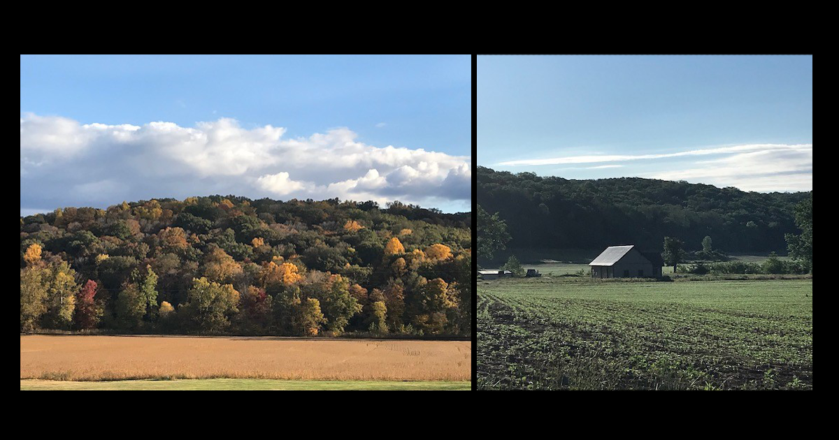 The Milnes Family Farm - photos of the forest and the agricultural space with a barn