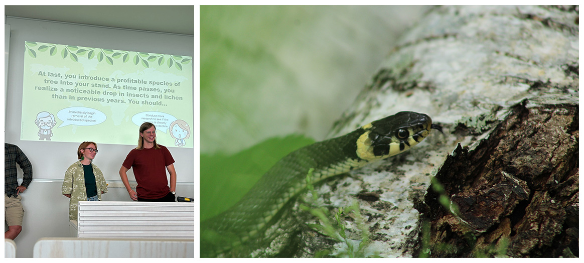 (Left to Right): Presentation on biodiversity; Grass snake.