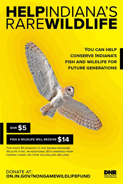 Help Indiana's Rare Wildlife poster