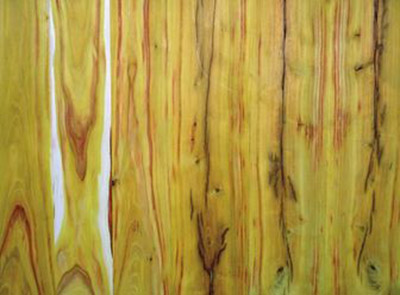 Wood panels from an Osage orange tree