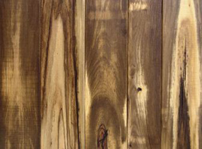 Persimmon wood panel