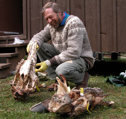 Peterson posing with animal skulls