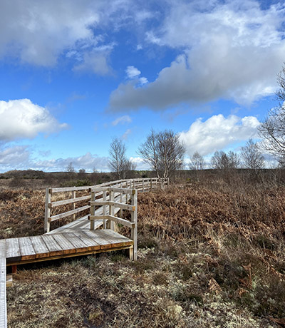 View from the boardwalk at the Carrownaggapul Bog