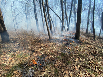 prescribed-fire-at-work-in-a-forest