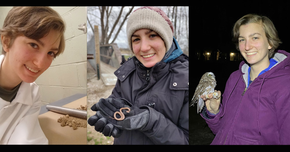 Lydia Pultorak works in the Geoinformatics, Ecosystem Management and Soil Sustainability Lab; Lydia holds a small snake; Lydia holds a Northern Saw-whet Owl.